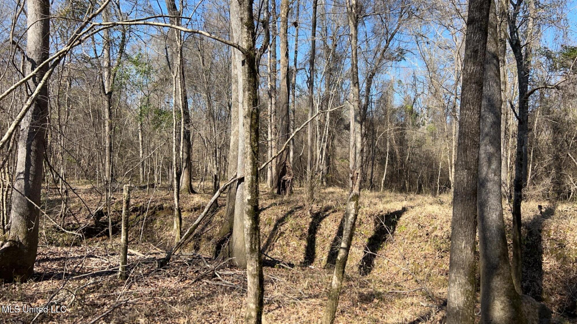 187 West Petros Road Pearl, MS 39208 - Photo 69 of 91 IMG_1652