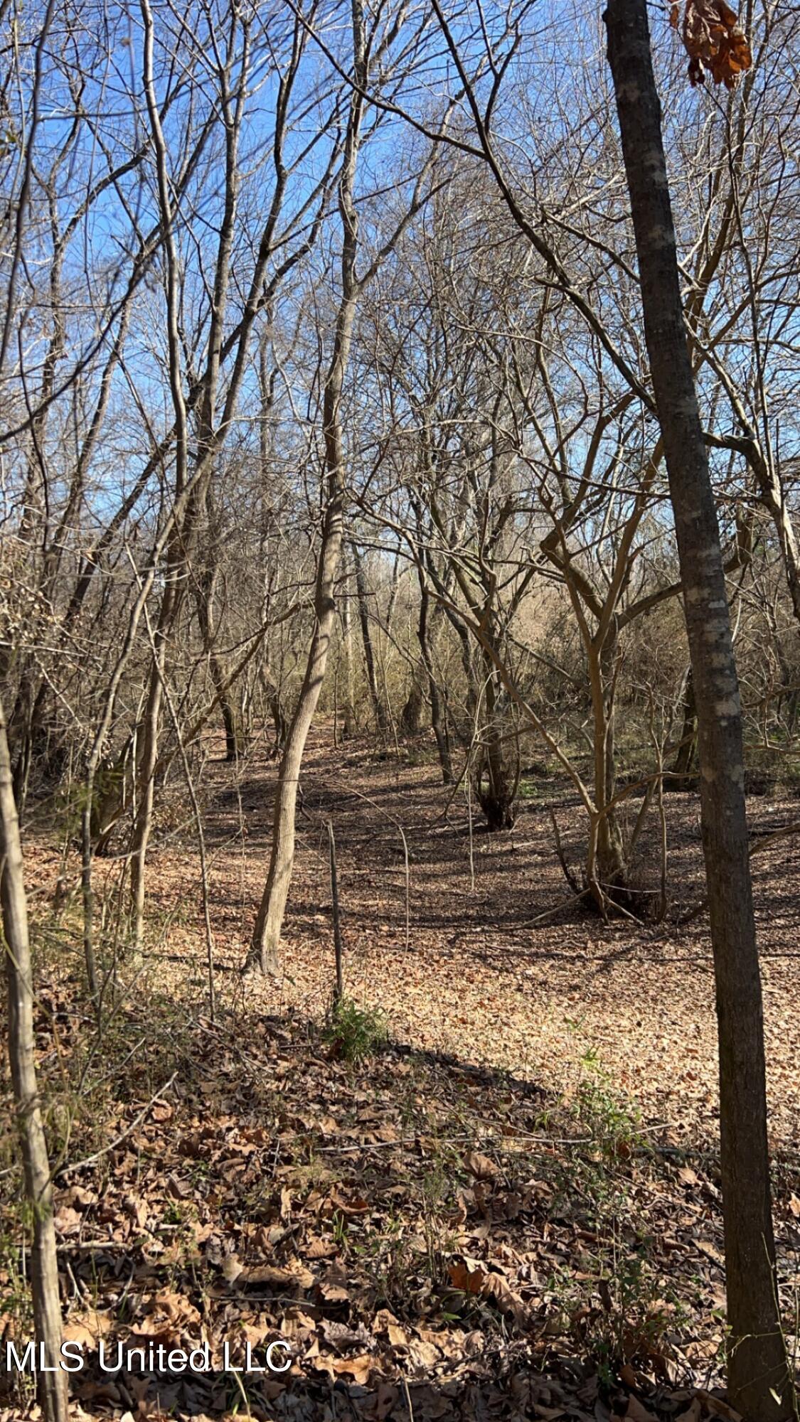 187 West Petros Road Pearl, MS 39208 - Photo 70 of 91 IMG_1653