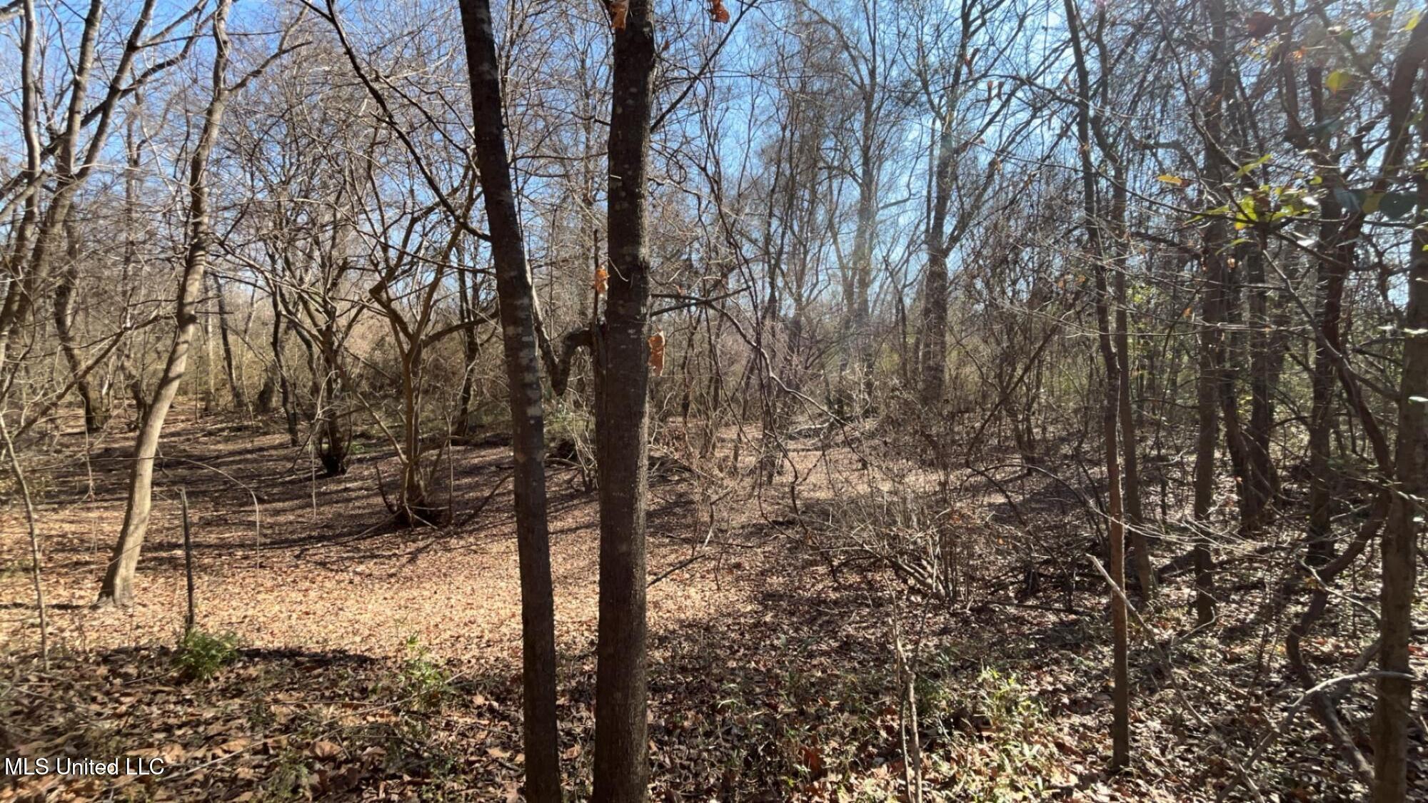 187 West Petros Road Pearl, MS 39208 - Photo 71 of 91 IMG_1654