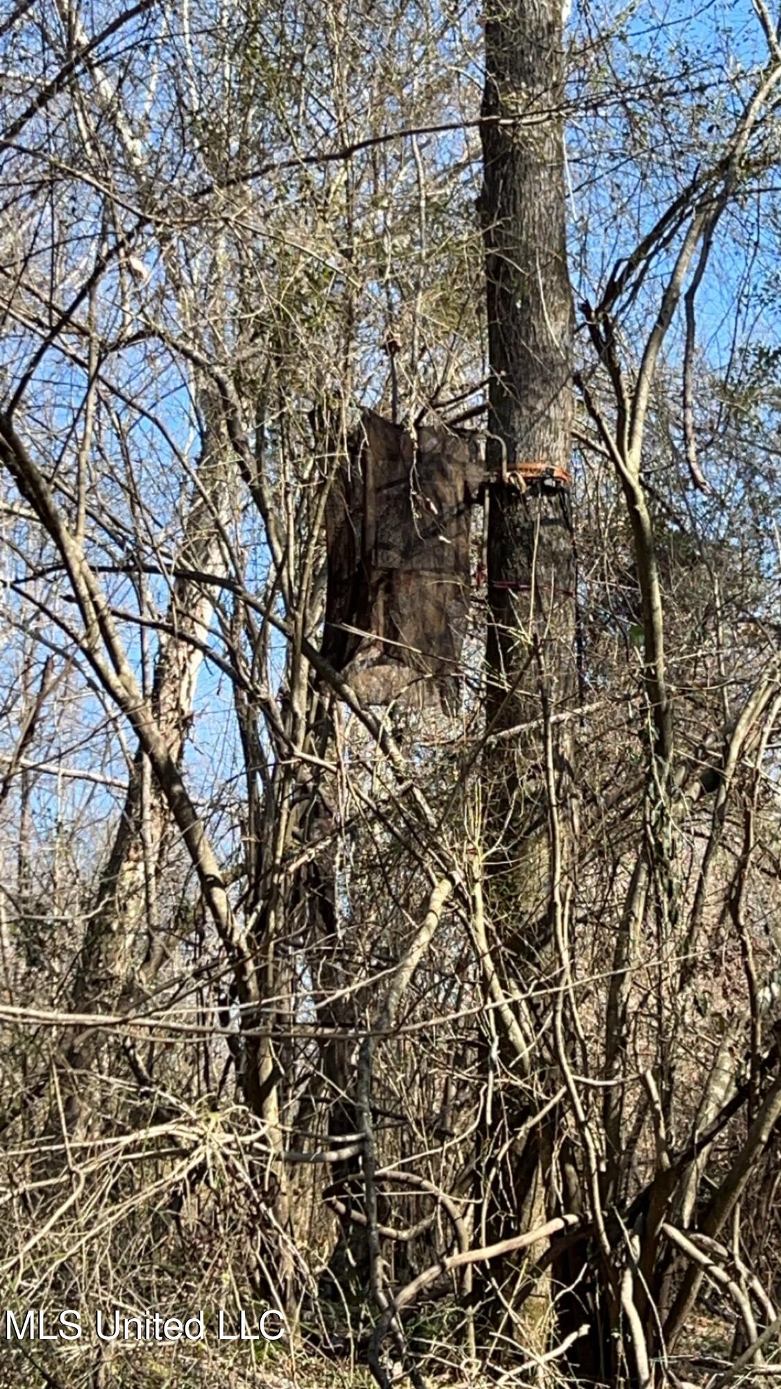 187 West Petros Road Pearl, MS 39208 - Photo 72 of 91 IMG_1655