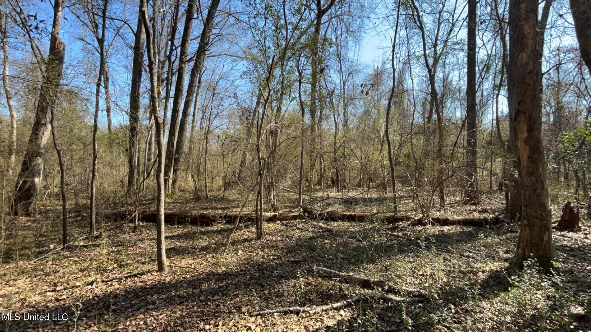 187 West Petros Road Pearl, MS 39208 - Photo 74 of 91 IMG_1658