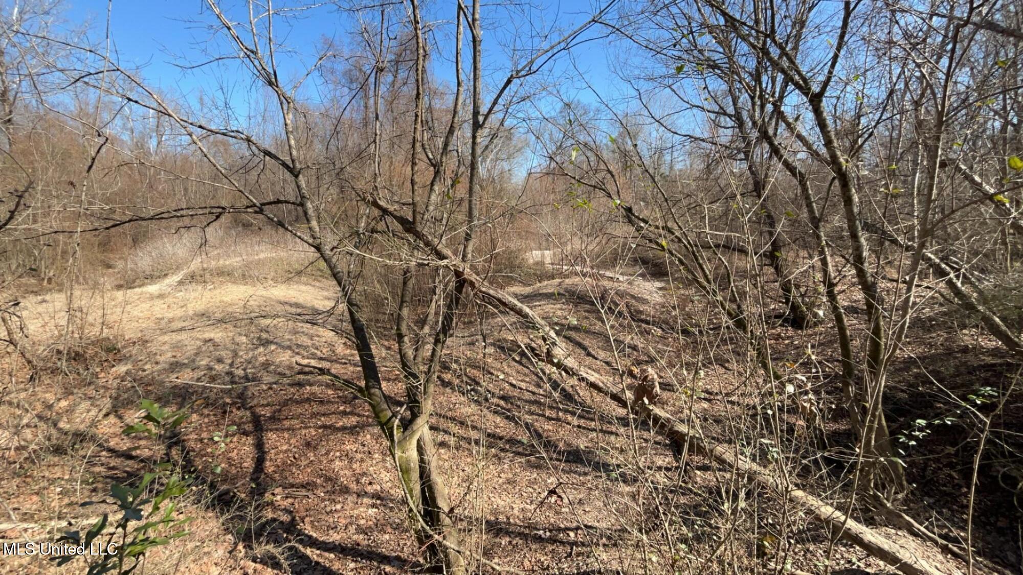 187 West Petros Road Pearl, MS 39208 - Photo 75 of 91 IMG_1659