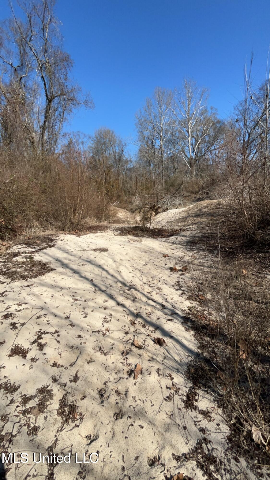 187 West Petros Road Pearl, MS 39208 - Photo 76 of 91 IMG_1660