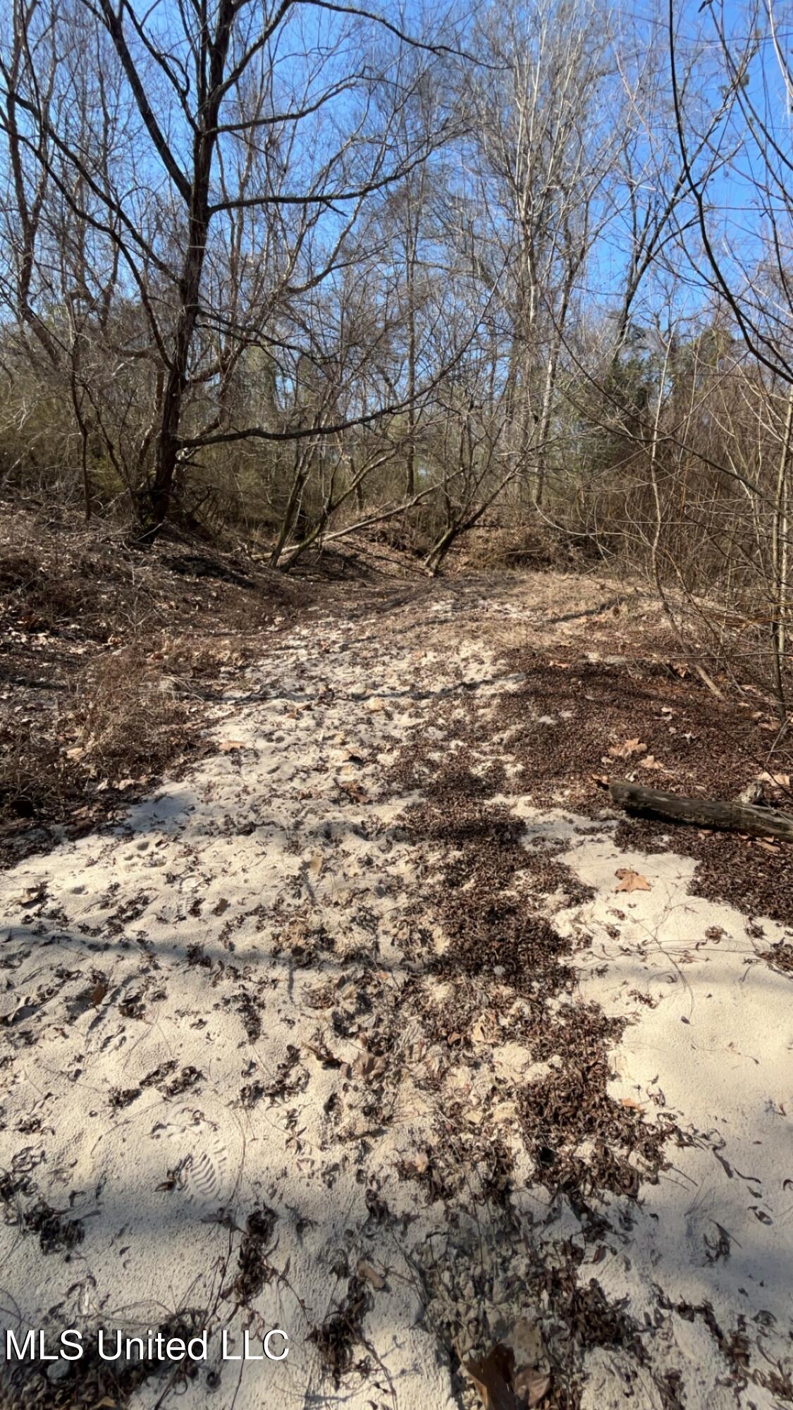 187 West Petros Road Pearl, MS 39208 - Photo 77 of 91 IMG_1661