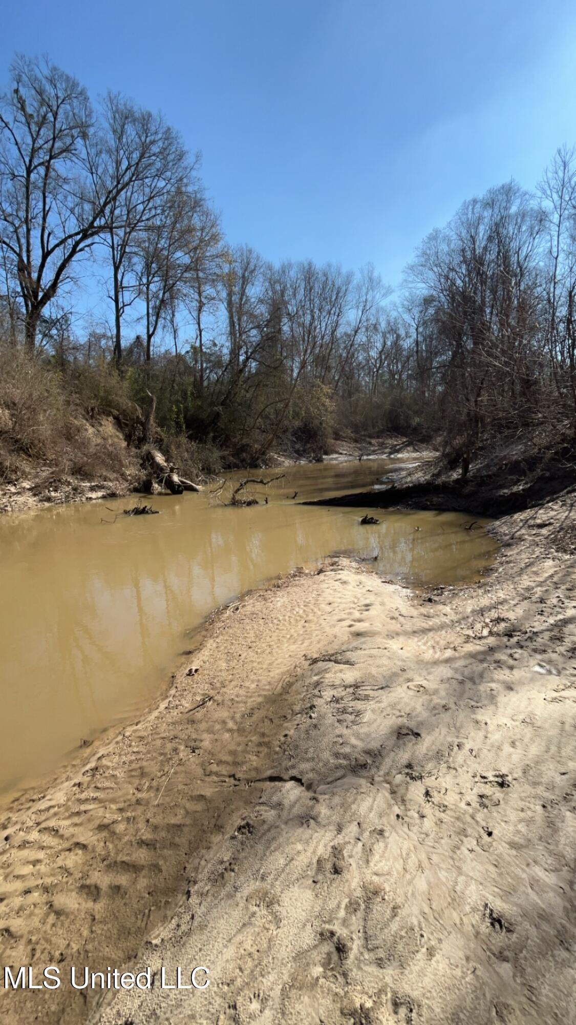 187 West Petros Road Pearl, MS 39208 - Photo 79 of 91 IMG_1663