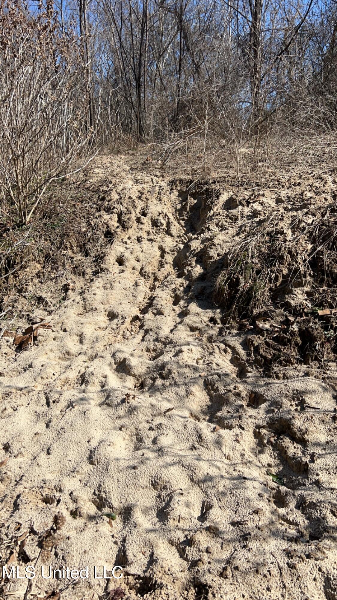 187 West Petros Road Pearl, MS 39208 - Photo 81 of 91 IMG_1667