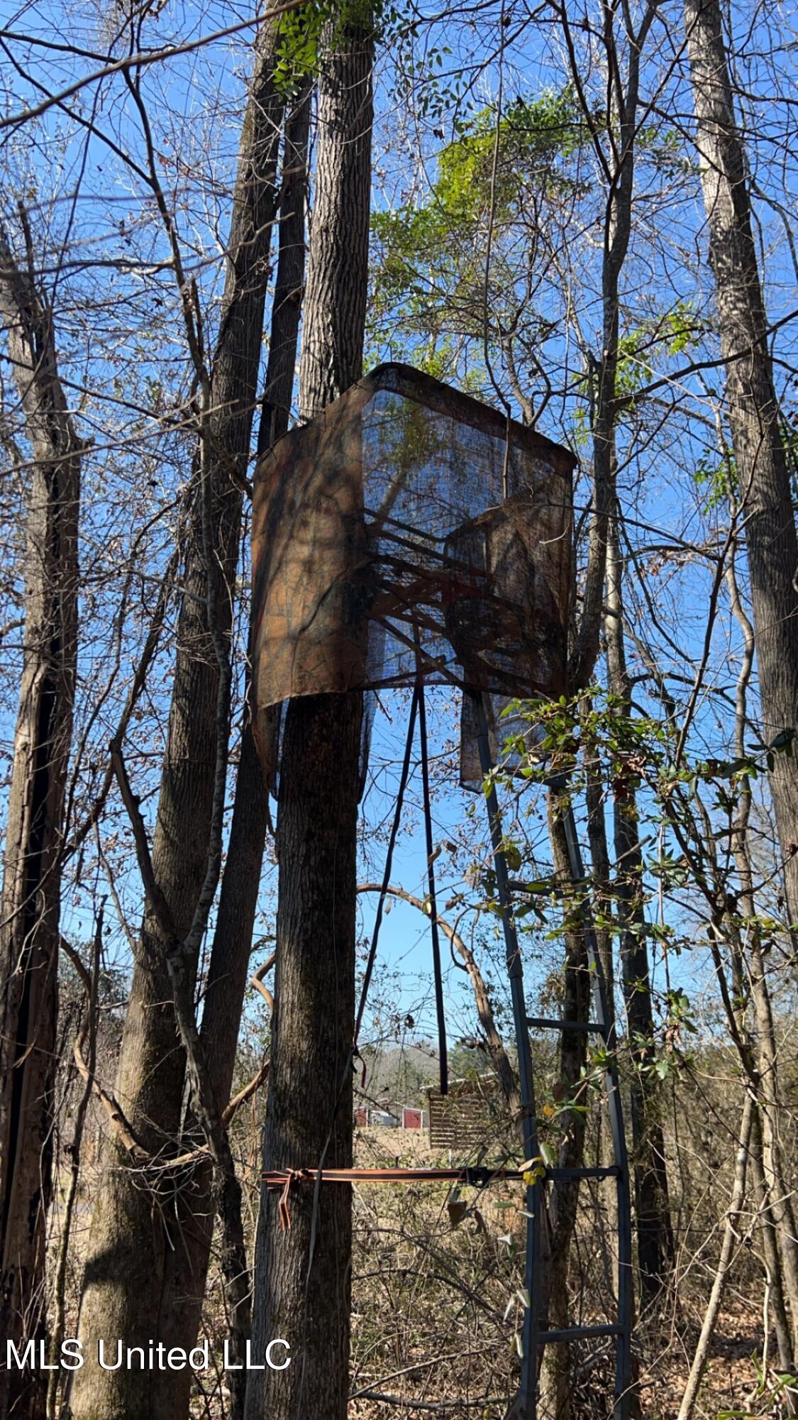 187 West Petros Road Pearl, MS 39208 - Photo 82 of 91 IMG_1669