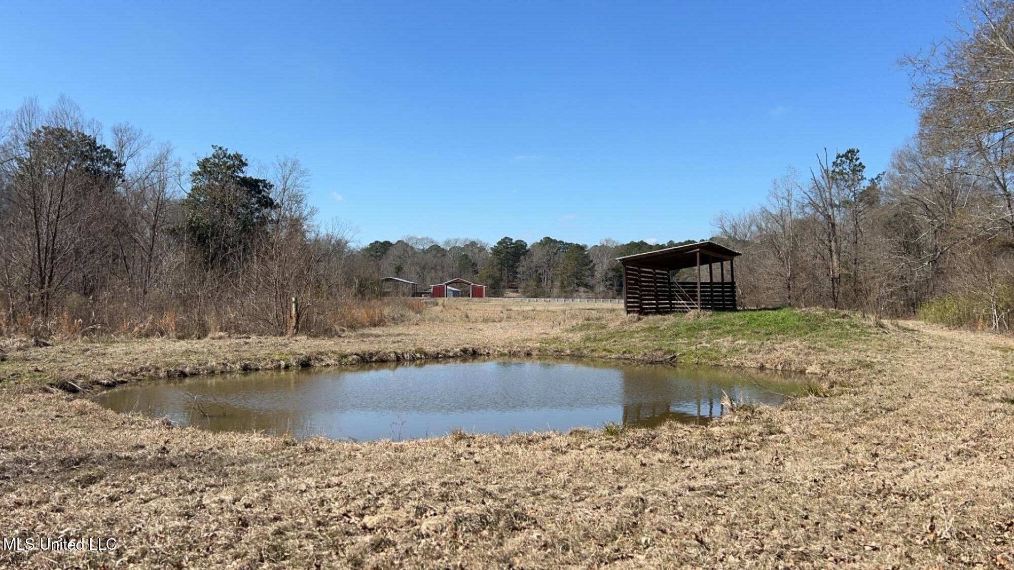 187 West Petros Road Pearl, MS 39208 - Photo 83 of 91 IMG_1670