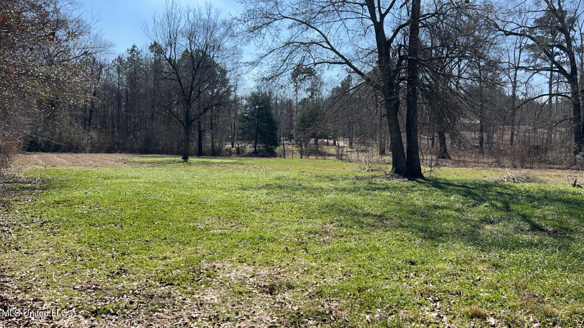 187 West Petros Road Pearl, MS 39208 - Photo 84 of 91 IMG_1671