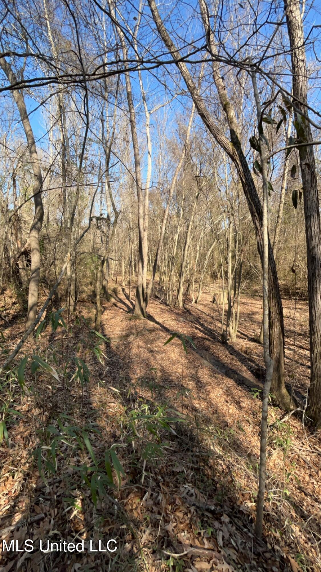 187 West Petros Road Pearl, MS 39208 - Photo 85 of 91 IMG_1673