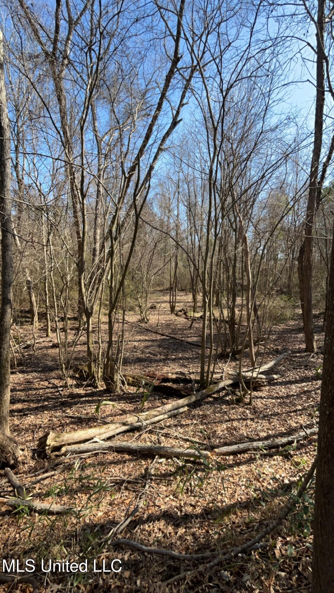 187 West Petros Road Pearl, MS 39208 - Photo 86 of 91 IMG_1674