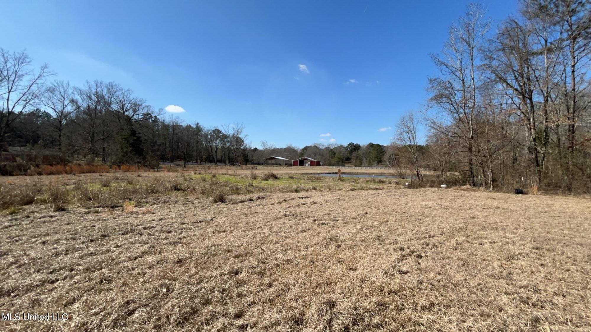 187 West Petros Road Pearl, MS 39208 - Photo 89 of 91 IMG_1677