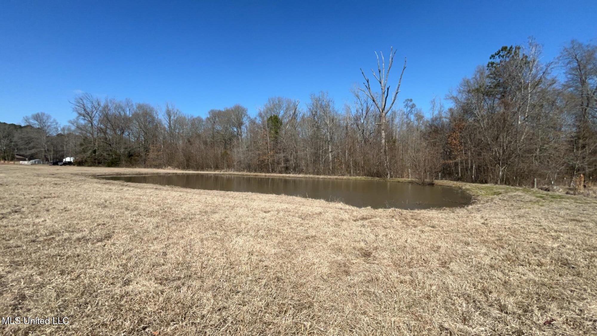 187 West Petros Road Pearl, MS 39208 - Photo 90 of 91 IMG_1678