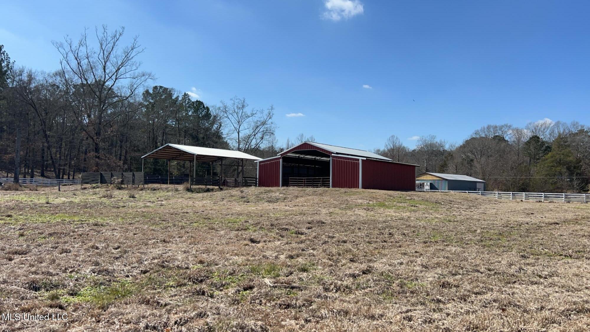 187 West Petros Road Pearl, MS 39208 - Photo 91 of 91 IMG_1679