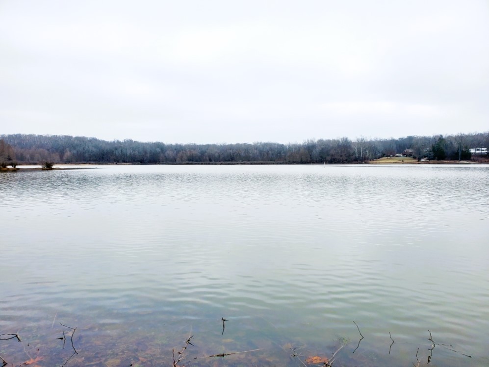 541 Saddletree Road Camden, TN 38320 - Photo 36 of 70 Gallery Image 36