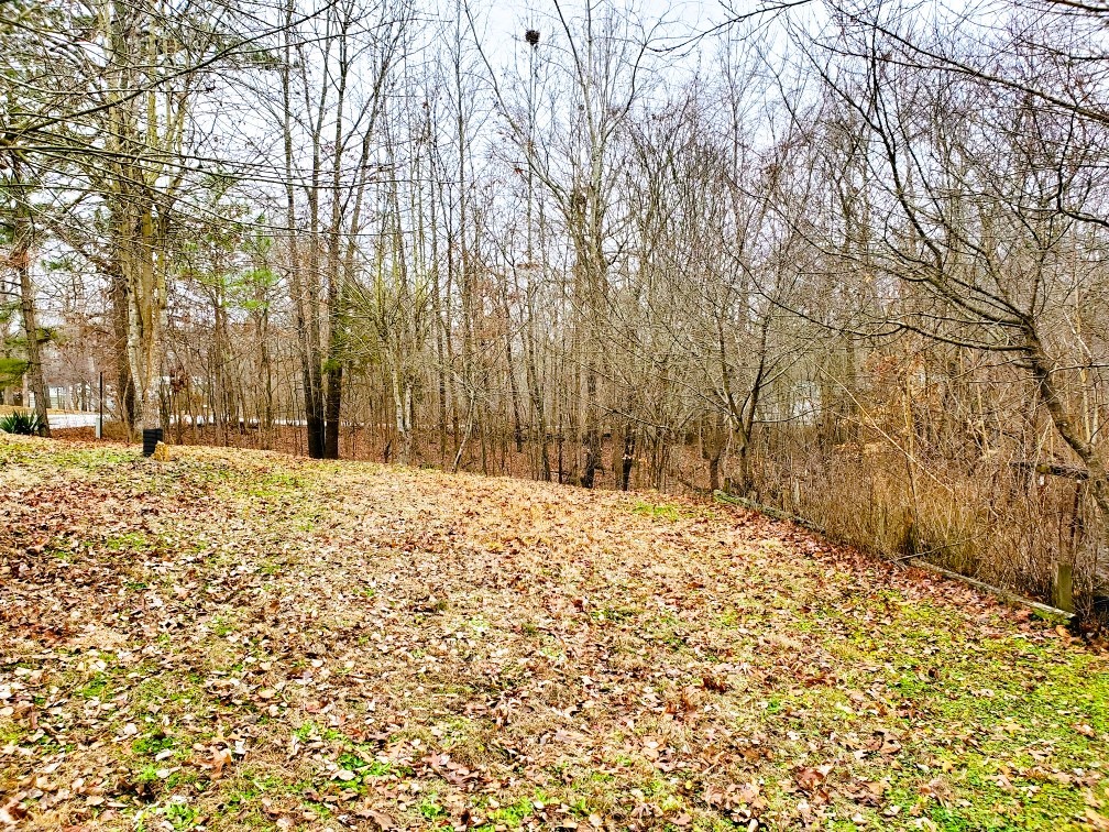 541 Saddletree Road Camden, TN 38320 - Photo 46 of 70 Gallery Image 46