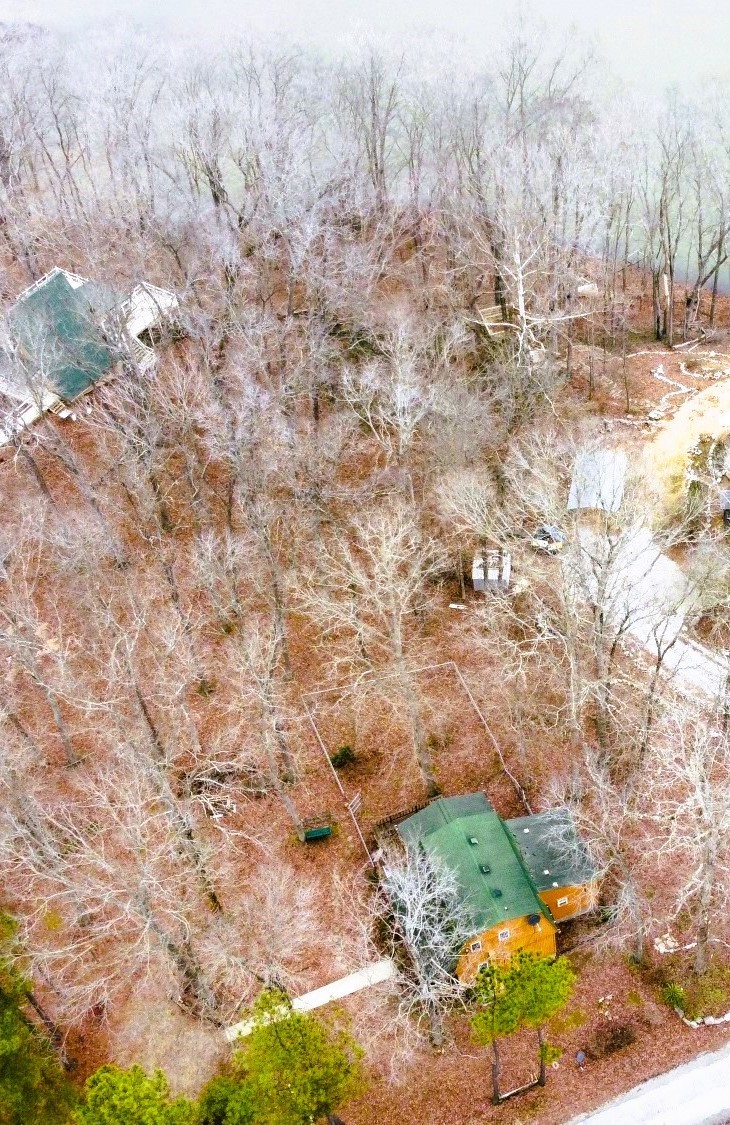 541 Saddletree Road Camden, TN 38320 - Photo 60 of 70 Gallery Image 60