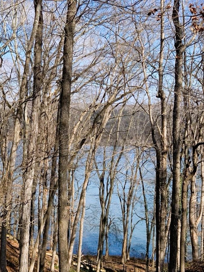 541 Saddletree Road Camden, TN 38320 - Photo 65 of 70 Gallery Image 65