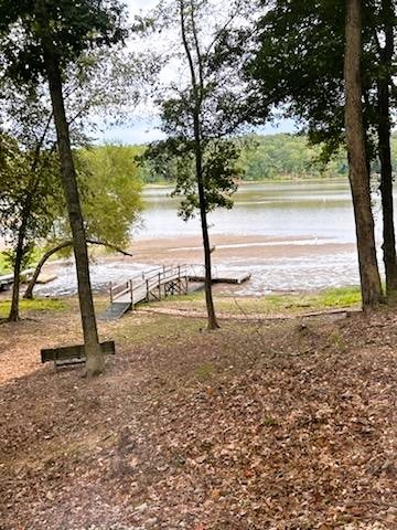 541 Saddletree Road Camden, TN 38320 - Photo 68 of 70 Gallery Image 68