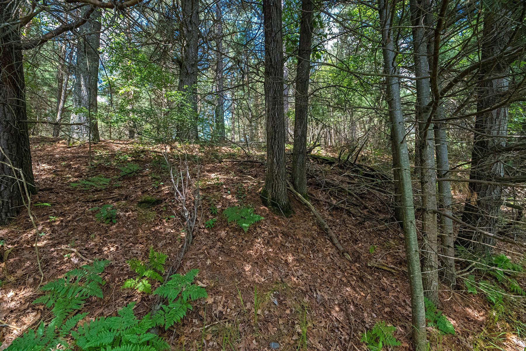 45 Three Lakes, Unit 5 Three Lakes, WI 54562 - Photo 8 of 16 Gallery Image 8