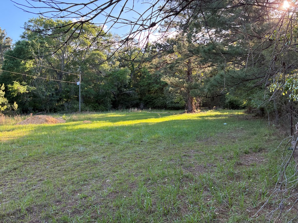 612 Edwin Reynolds Road Cottonwood, AL 36320 - Photo 2 of 15