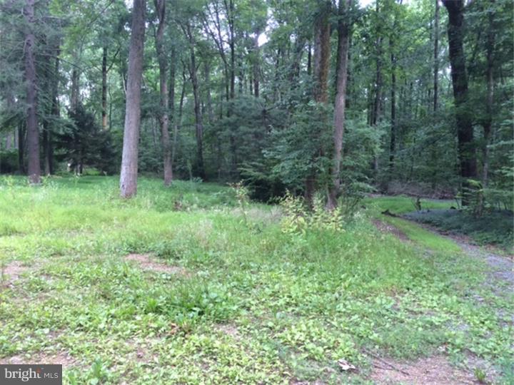 6160 4 Point Road Bethel, PA 19507 - Photo 2 of 5 Gallery Image 2
