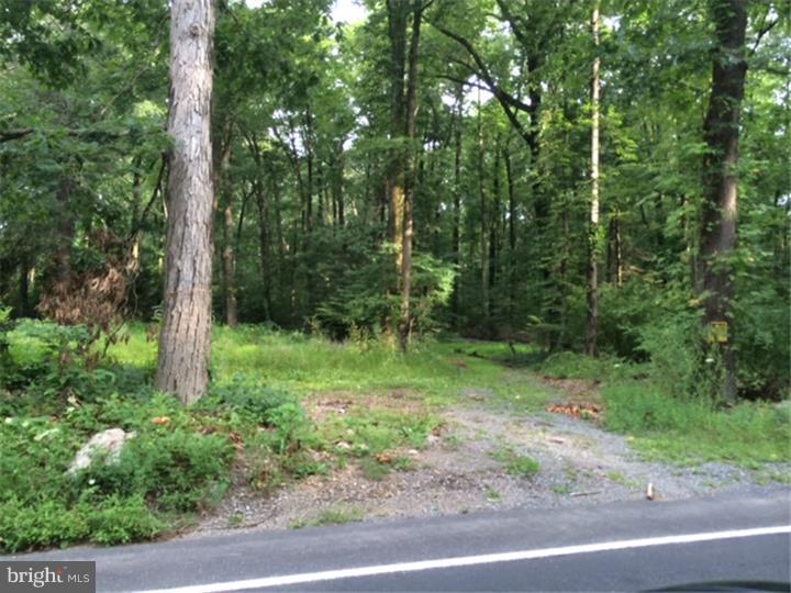 6160 4 Point Road Bethel, PA 19507 - Photo 3 of 5 Gallery Image 3