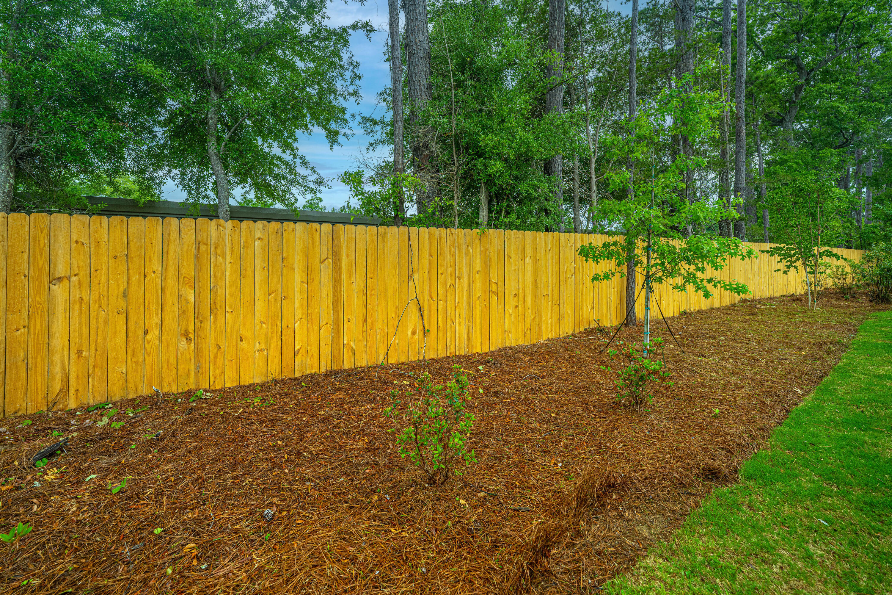 1303 Twin Rivers Drive Wando, SC 29492 - Photo 31 of 33 302TwinRiversDr039