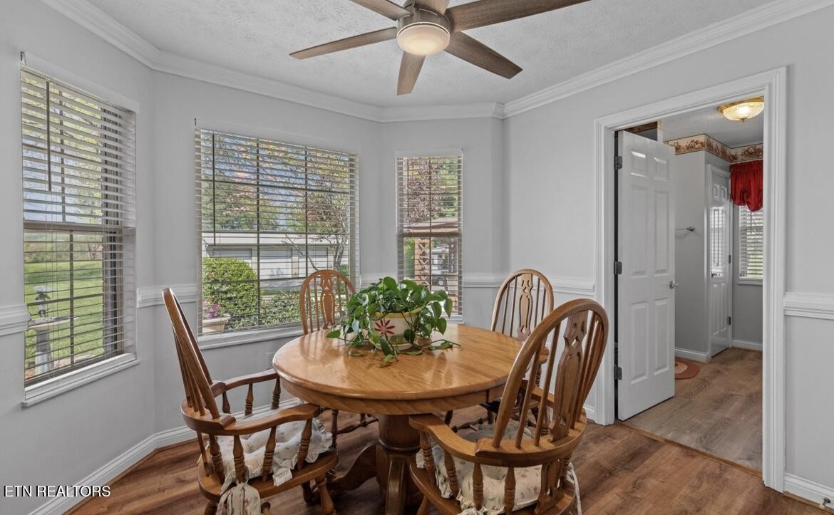 2041 Witt Road White Pine, TN 37890 - Photo 12 of 49