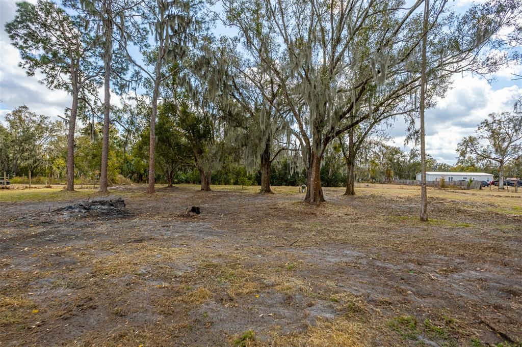 9331 Edison Road Lithia, FL 33547 - Photo 28 of 45