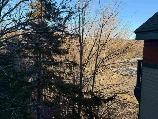 $28,500 | 204-206 Qtr 2 Grand Summit Way, Unit 204/206 QTR 2, West Dover, VT 05356