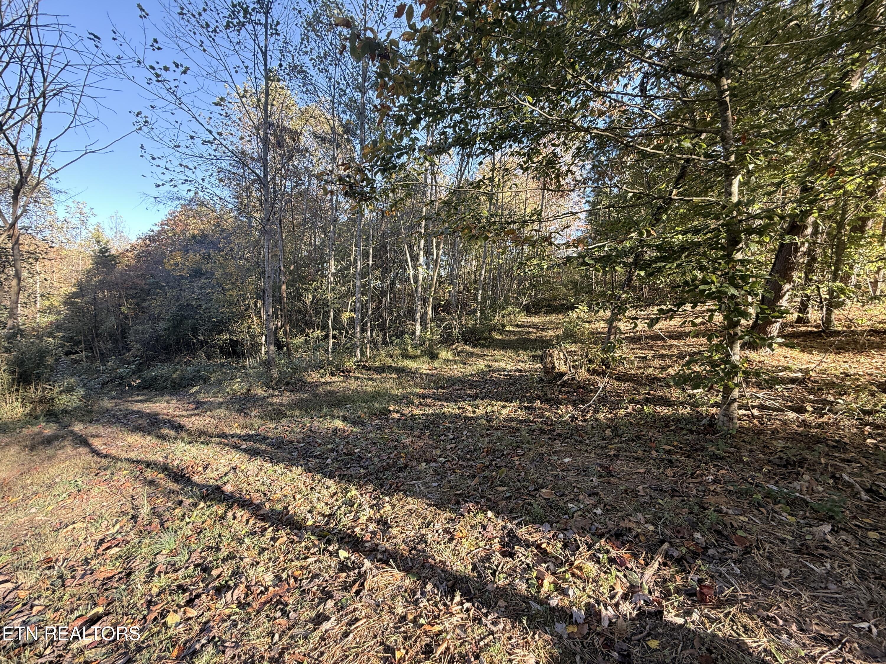 444 Roses Creek Road Clairfield, TN 37715 - Photo 33 of 48 Lower Property