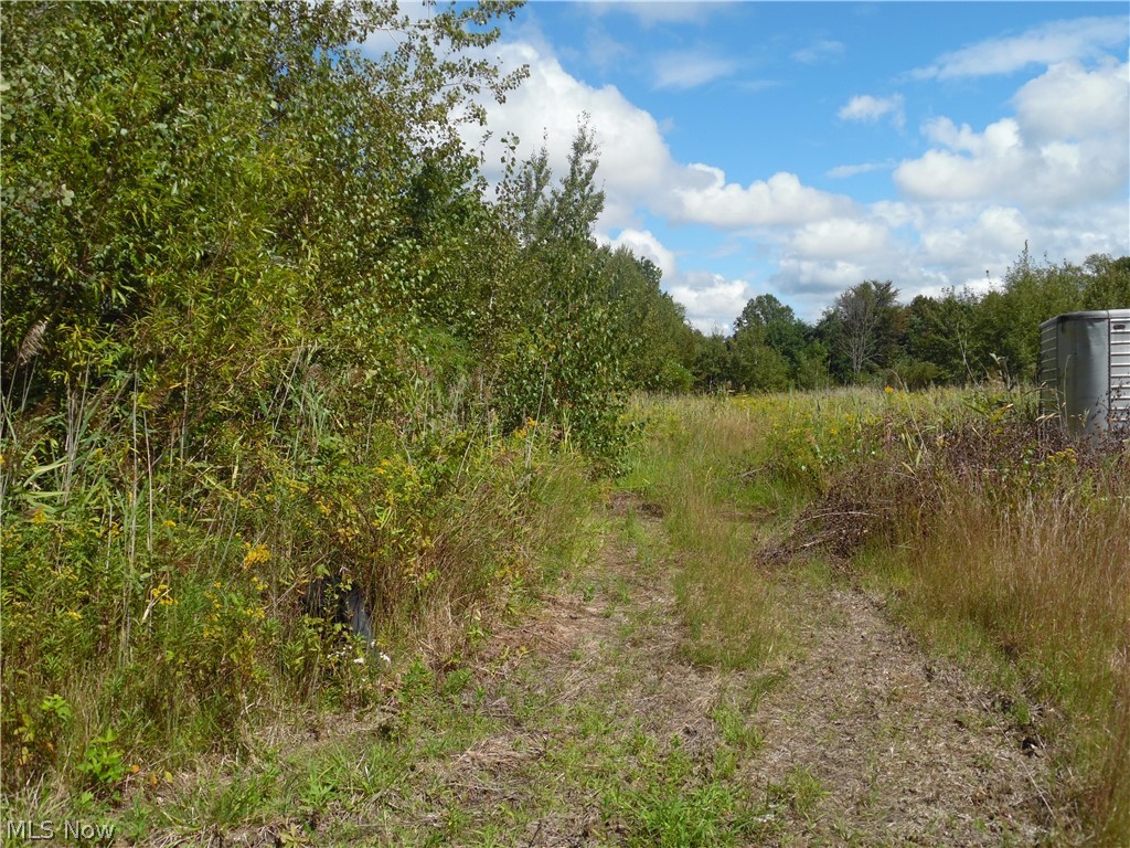 1314 Sill Road Ashtabula, OH 44004 - Photo 9 of 9