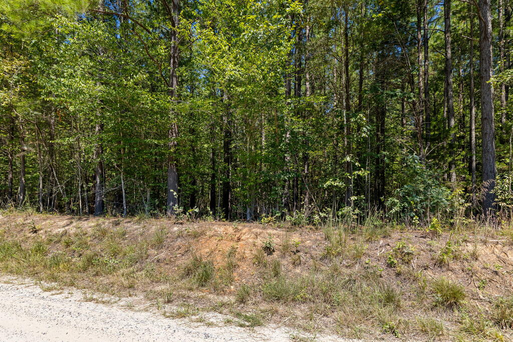 Davis Lowground Road, Unit 9 Keysville, VA 23947 - Photo 17 of 17 Gallery Image 17