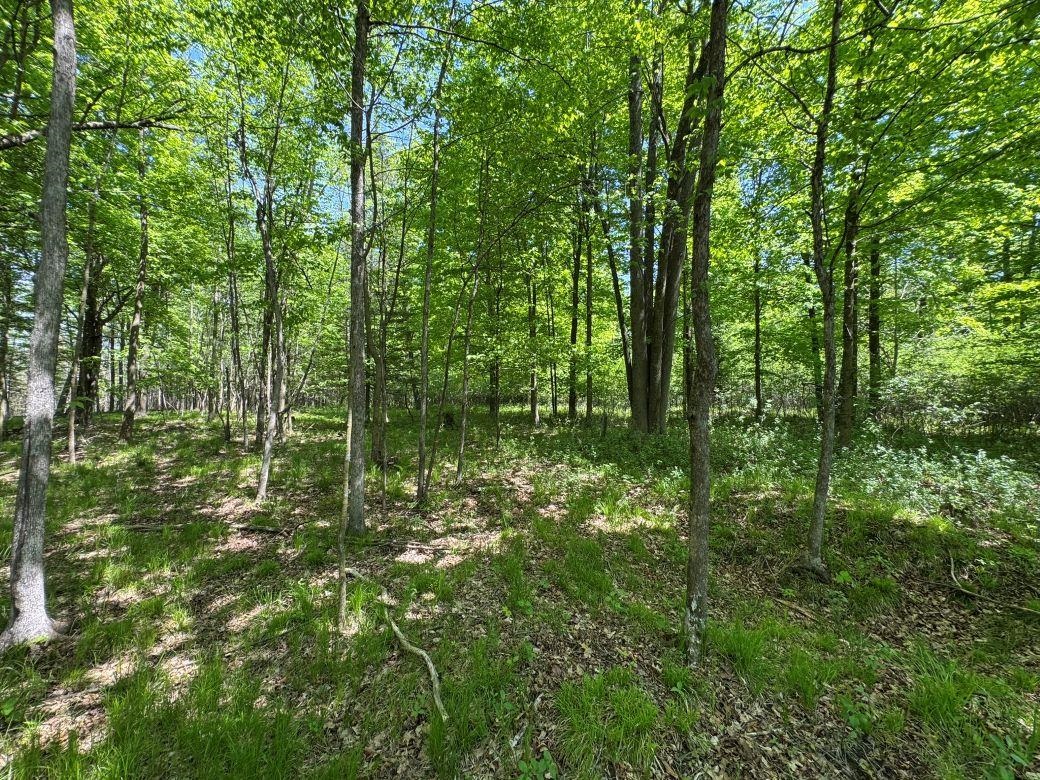W17810 Eland Road Wittenberg, WI 54499 - Photo 80 of 89