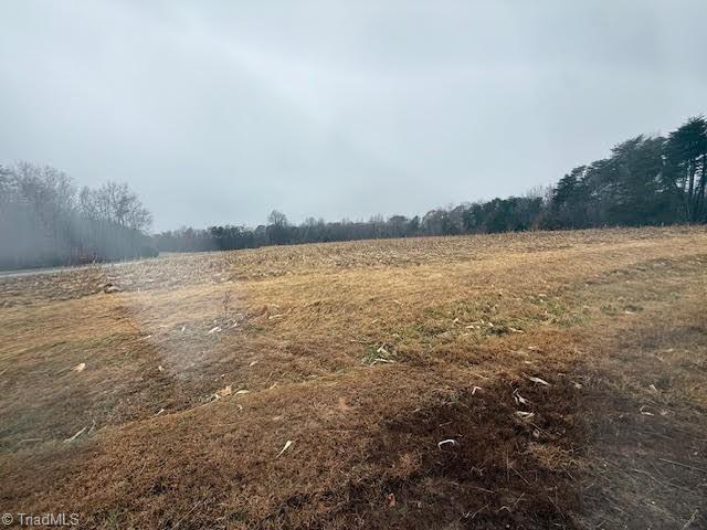 Lot 1 Joe Cobb Road Ruffin, NC 27326 - Photo 12 of 14