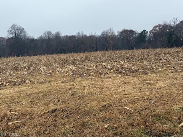 Lot 1 Joe Cobb Road Ruffin, NC 27326 - Photo 13 of 14