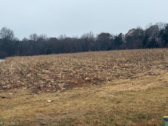 Lot 1 Joe Cobb Road Ruffin, NC 27326 - Photo 14 of 14