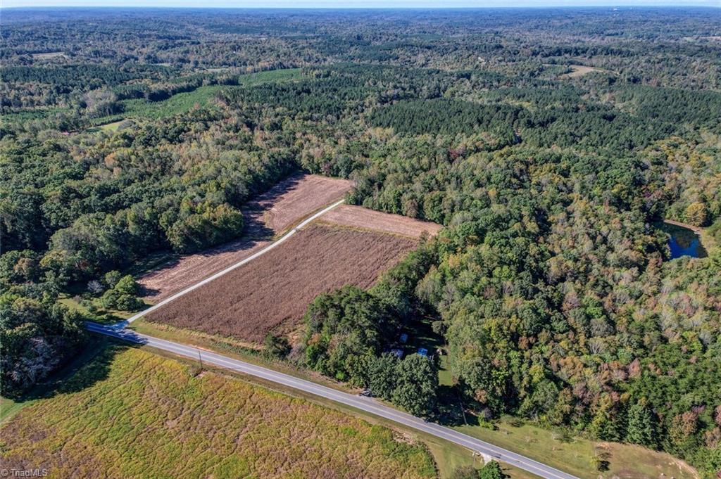 Lot 1 Joe Cobb Road Ruffin, NC 27326 - Photo 3 of 14