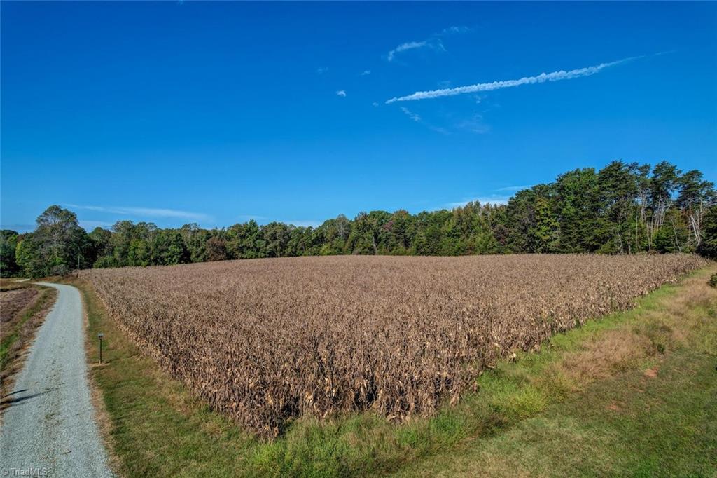 Lot 1 Joe Cobb Road Ruffin, NC 27326 - Photo 5 of 14