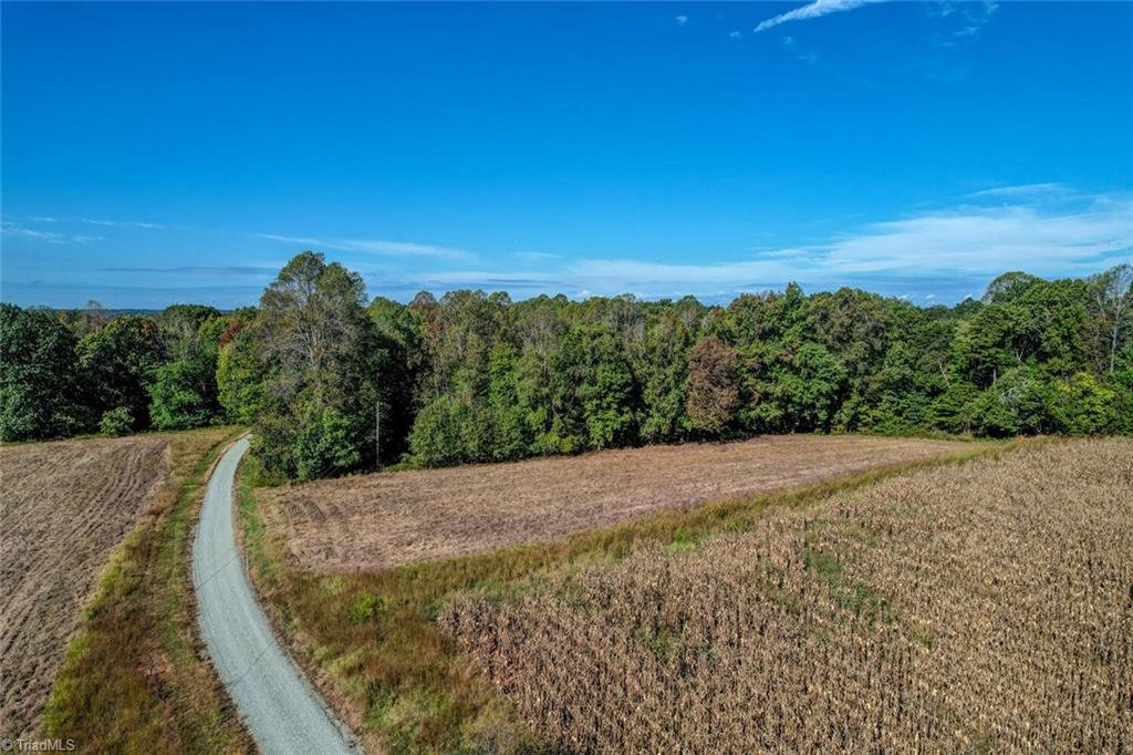 Lot 1 Joe Cobb Road Ruffin, NC 27326 - Photo 6 of 14