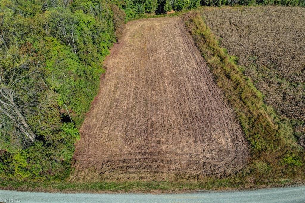 Lot 1 Joe Cobb Road Ruffin, NC 27326 - Photo 7 of 14