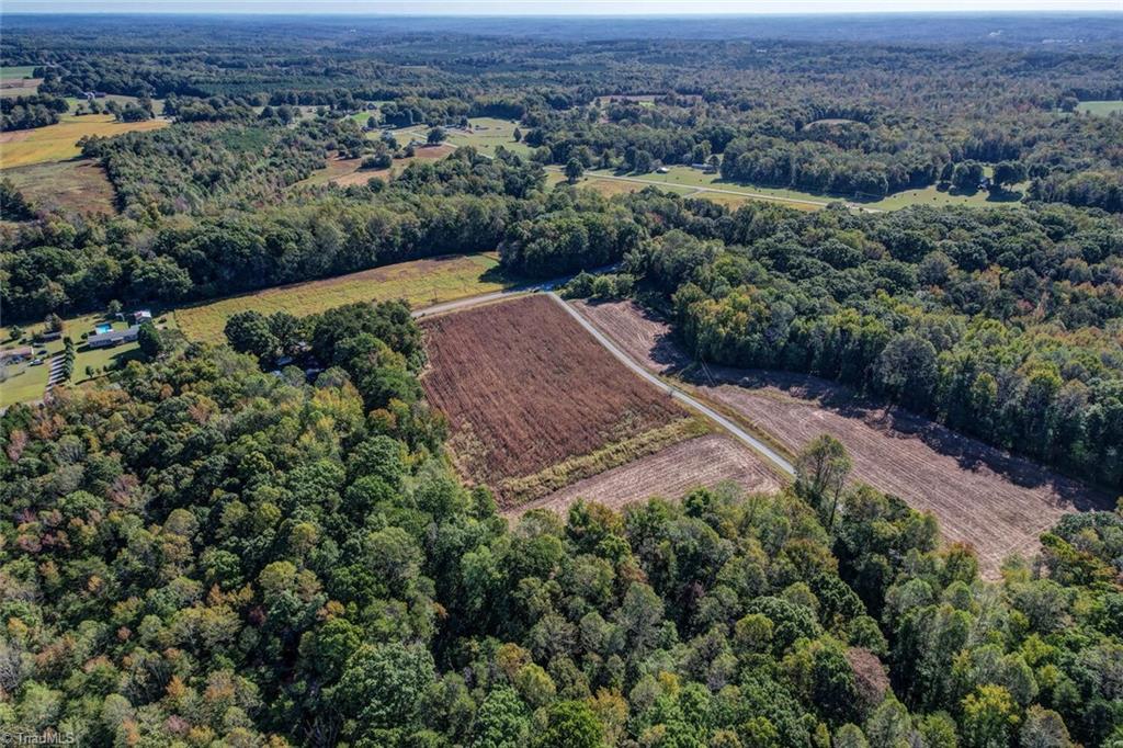 Lot 1 Joe Cobb Road Ruffin, NC 27326 - Photo 8 of 14