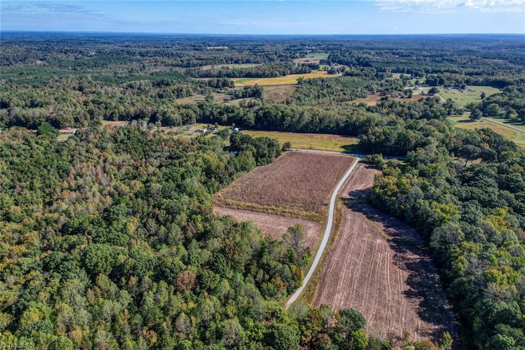 Lot 1 Joe Cobb Road Ruffin, NC 27326 - Photo 9 of 14