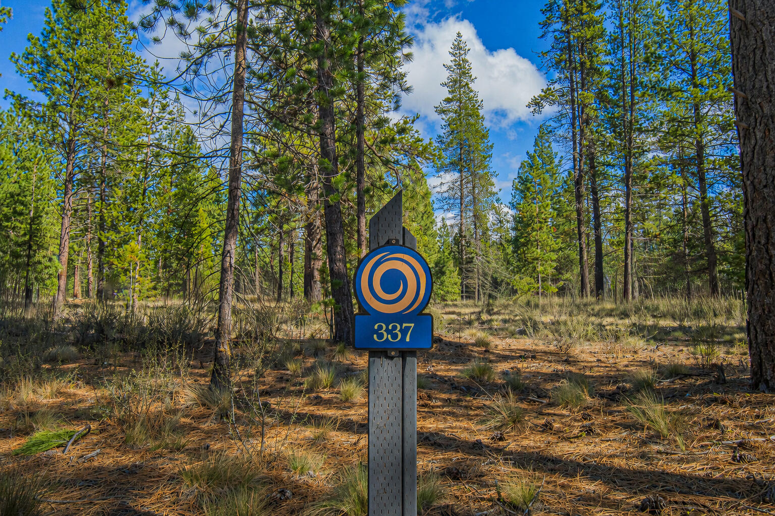 56319 Mirror Rock Loop Bend, Unit 337 Bend, OR 97707 - Photo 1 of 18