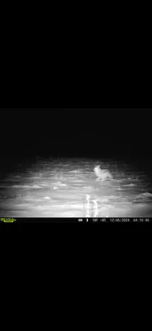 $254,900 | 3826 40th Avenue, Sears, MI 49679