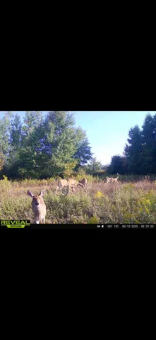 $254,900 | 3826 40th Avenue, Sears, MI 49679