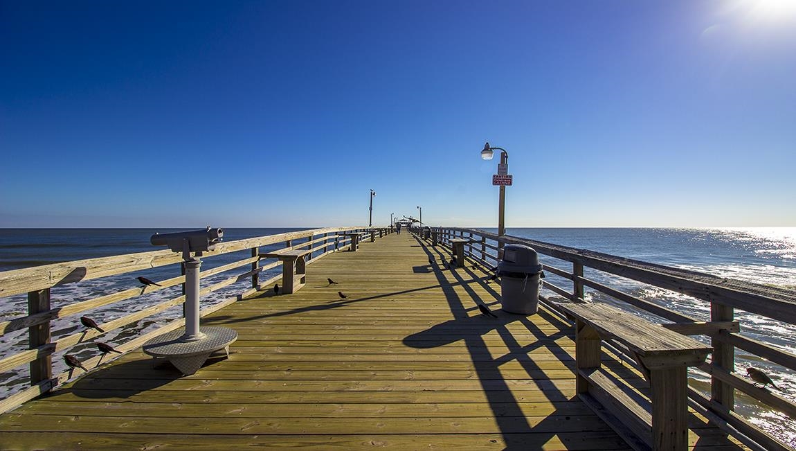 319 Ridley Street Longs, SC 29568 - Photo 13 of 30