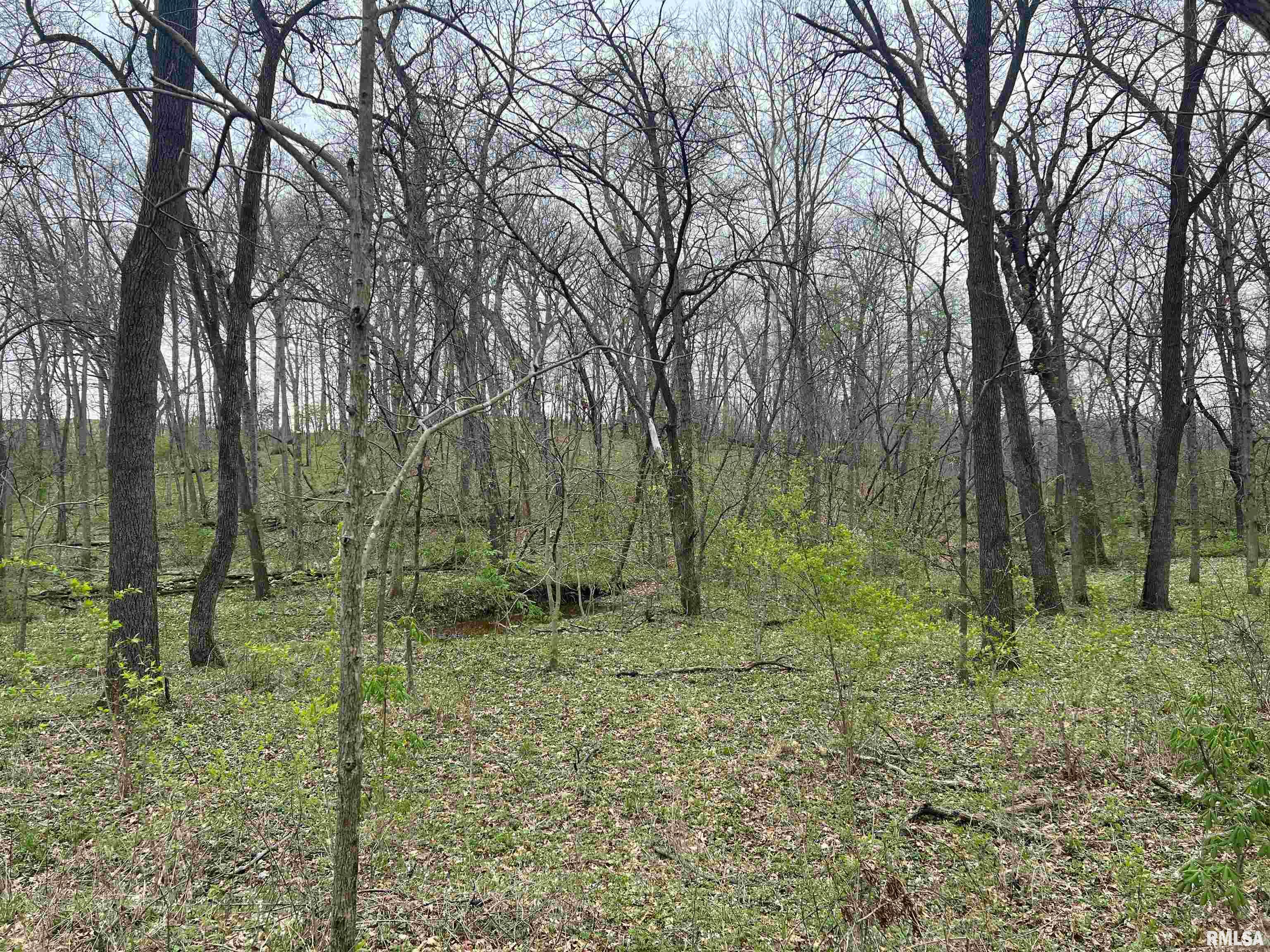 Rr Flower Creek Road Plymouth, IL 62367 - Photo 11 of 30