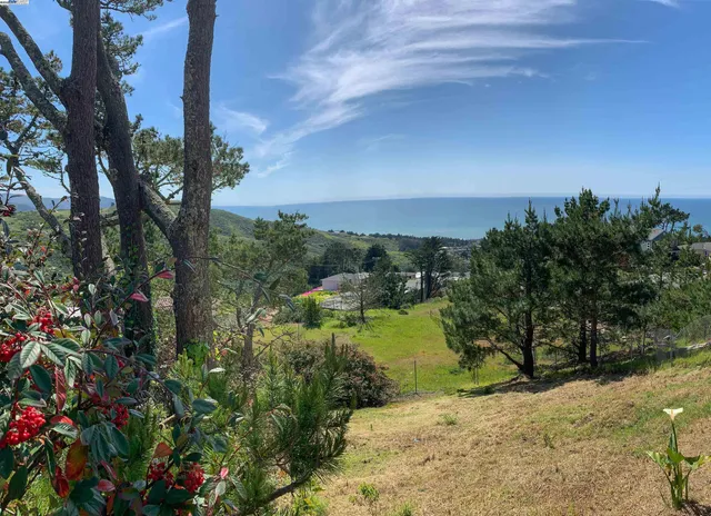 a view of a yard with a tree